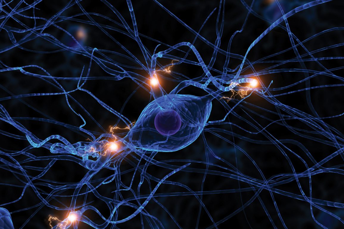 synapses stock image