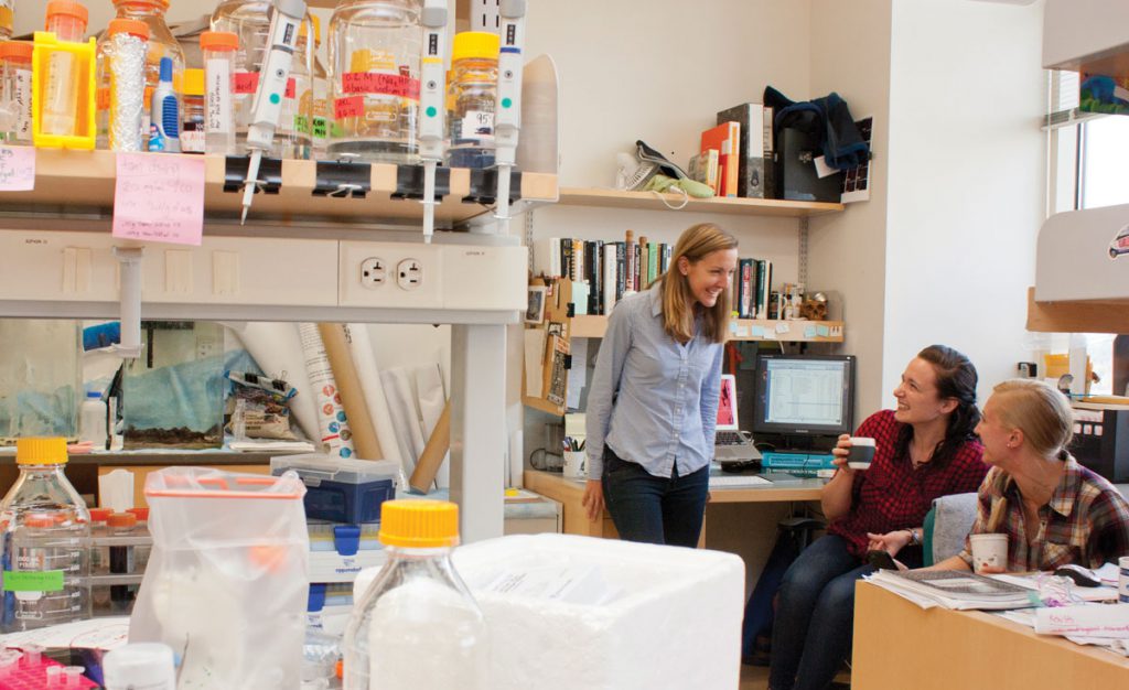 Christine Larkins, Marissa Gredler and Kelsey Lewis are all members of the research group in Martin Cohn’s lab.