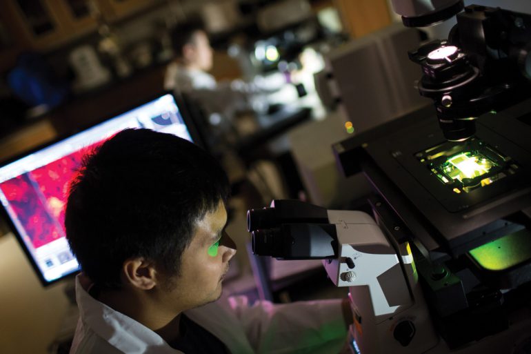 Postdoctoral Associate Cedric Uytingco and fellow researchers in the UF Center for Smell and Taste are working to change the lack of available treatments for anosmia, or impairment of the sense of smell.