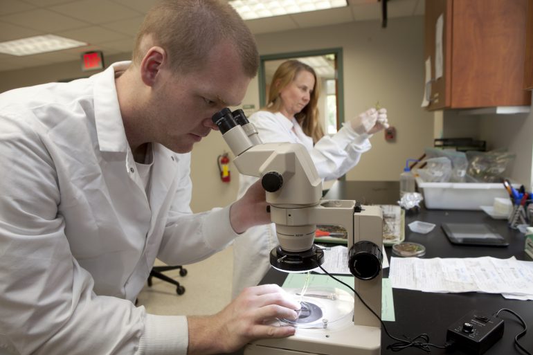 Front- John Bonkowski lab assistant, Anne Vitoreli Laboratory manager
