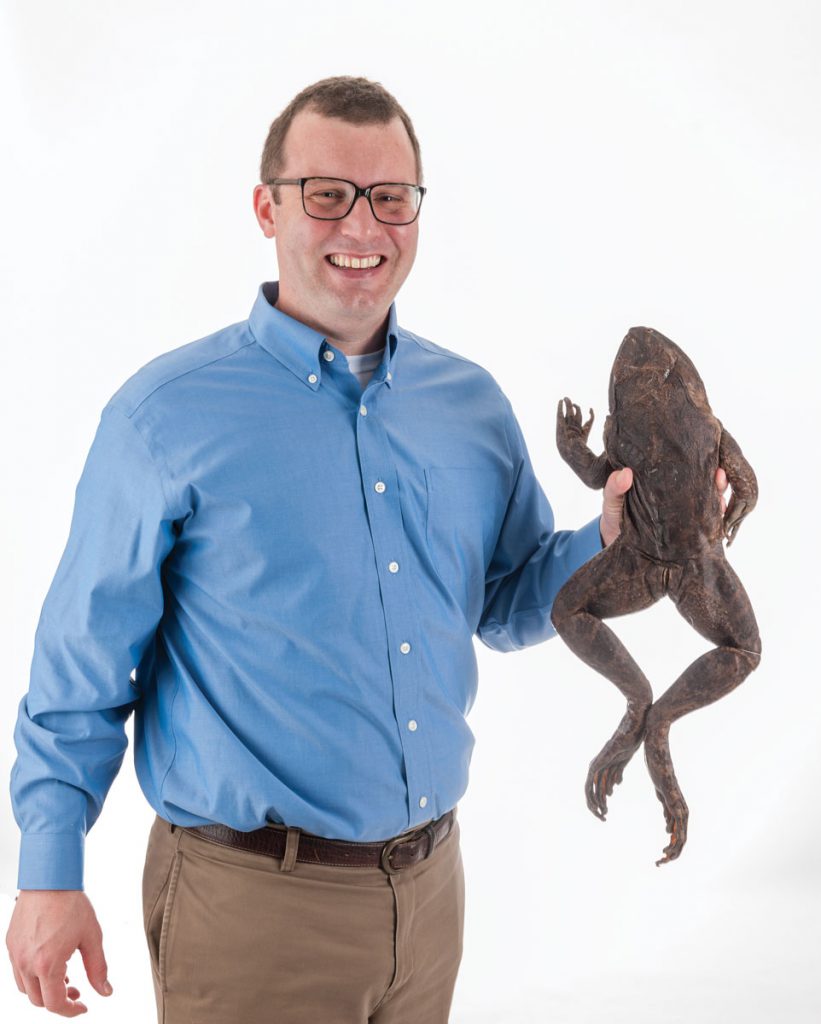 David Blackburn holds a goliath frog, the largest frog in the world. This specimen is from Cameroon and was donated in the 1980s. The species is threatened and is hunted for food.