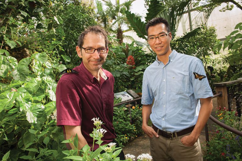 Guralnick and Kawahara