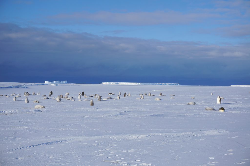 “The feeling of Antarctica was one of vastness — fresh, clear, beautiful, dangerous. It was a novel environment where humans were clearly guests; it was not our place, and it inspired awe and respect. It was not unlike what you might feel standing on the surface of another planet, and these emotions brought the realization that the value of conducting planetary analog experiments in Antarctica is about more than just setting up shop in a remote and challenging place, it is also about appreciating what it is like to be a guest in an environment outside your evolutionary experience.”