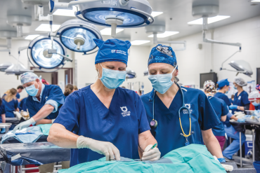 Julie Levy, left, is conducting research on contraceptive vaccines for cats. Until that work succeeds, she performs spay and neuter surgery each month at Operation Catnip.