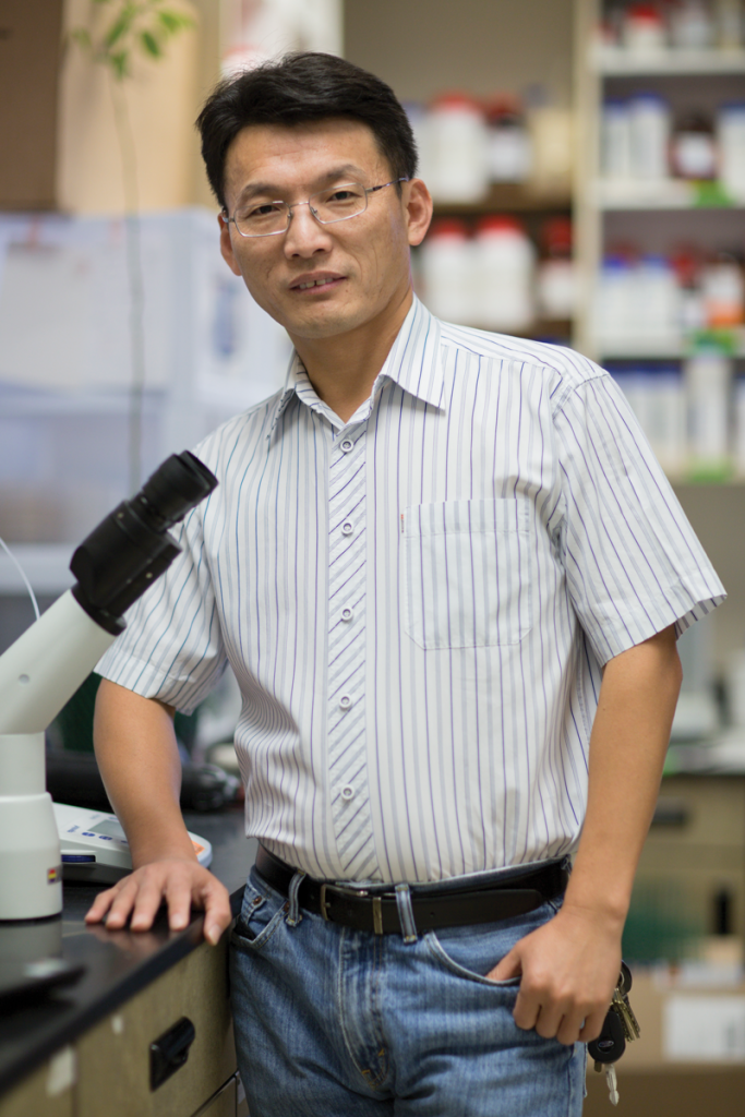 Nian Wang uses CRISPR to edit the genes that make citrus crops susceptible to citrus greening and citrus canker.