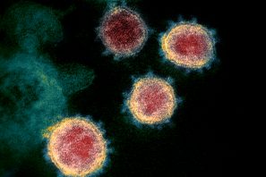 Coronavirus graphic