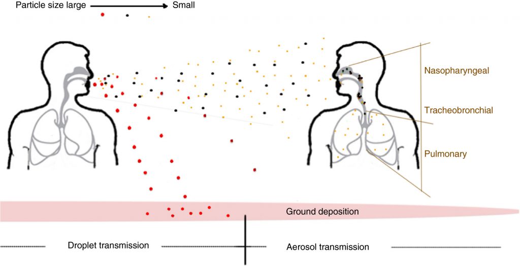 Diagram of how particles are transmitted through the air following a sneeze.