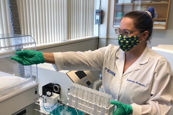 Katherine Bermudez conducts research in lab wearing PPE.