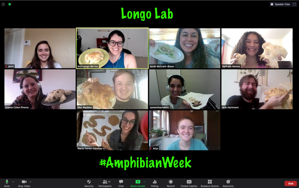 Ana Longo's class celebrates Amphibian Week via Zoom meeting.