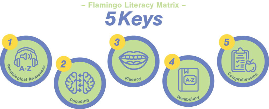 Infographic depicting the 5 Keys to the Flamingo Literacy Matrix