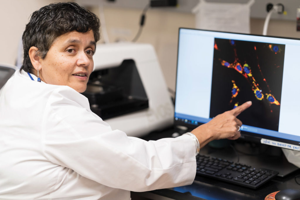 Malú Gámez Tansey conducting research