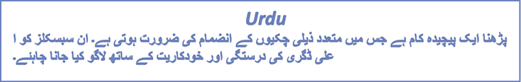 Urdu example