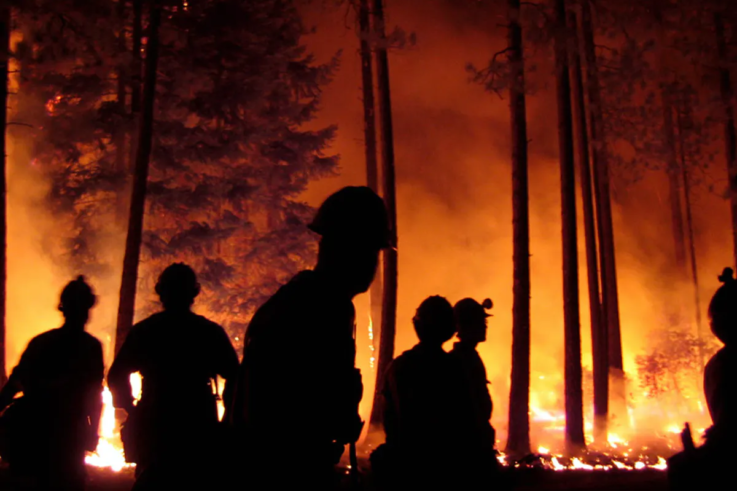 Firefighters and a wildfire