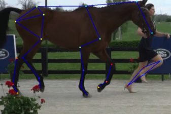 Trainer and horse with artificial intelligence graphics