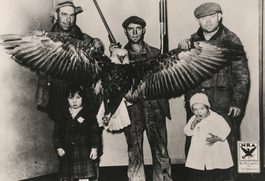 Group of hunters holding a bald eagle carcass 
