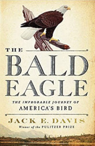 Cover art of The Bald Eagle: The Improbable Journey of America's Bird