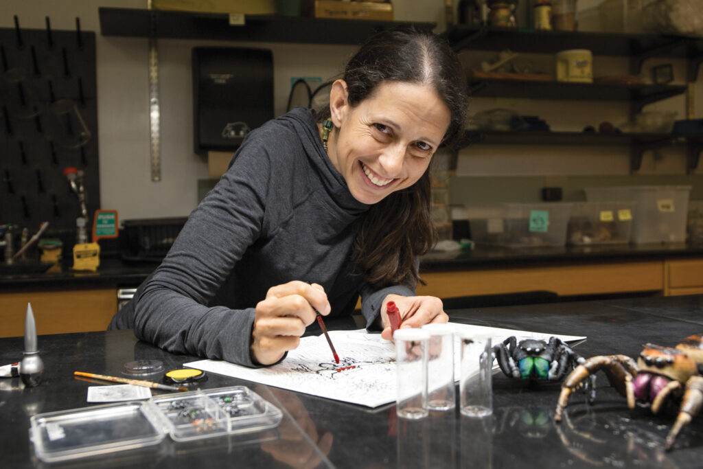 Lisa Taylor painting an image of a jumping spider on a work table next to large-scale models of jumping spiders.