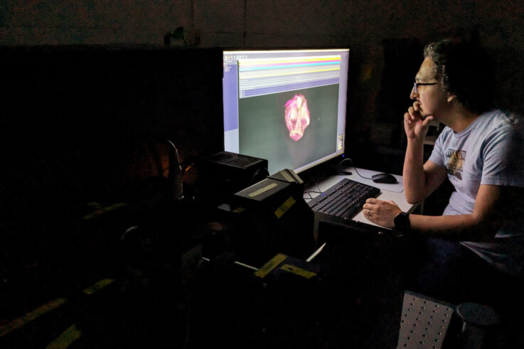 Cez Borba leans toward a computer screen in a dark room. A microscope image of a comb jelly is on the screen.