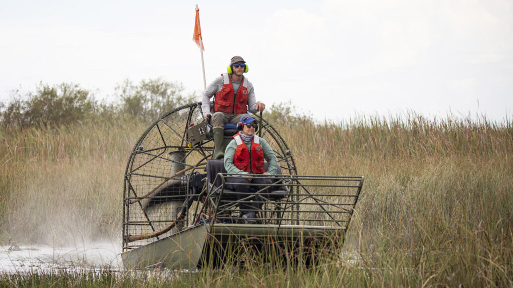 Melissa Miller and Brandon Welty riding on an airboat through the Everglades.