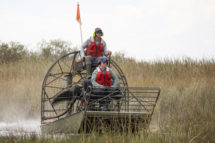 Melissa Miller and Brandon Welty riding on an airboat through the Everglades.