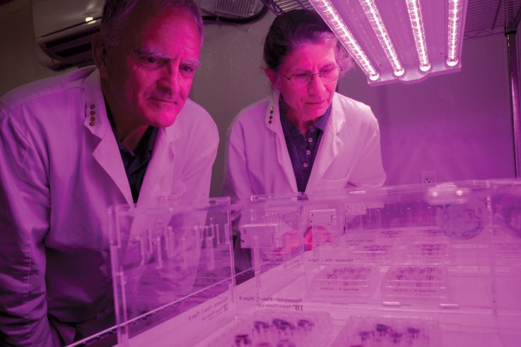 Rob Ferl and Anna Lisa Paul looking at the plates. (Lunar Plants Research Documentation, Wednesday April 28th, 2021.)