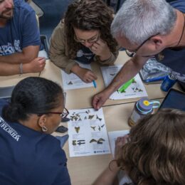 A photo of multiple people sitting at a table studying shark fossils.