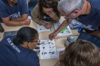 A photo of multiple people sitting at a table studying shark fossils.