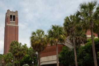 A photo of palm trees, the UF Music building and Century Tower on campus at the University of Florida.